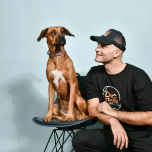 Βασική εκπαίδευση #5 | Φάνης Ζαδές - Εκπαιδευτής σκύλων