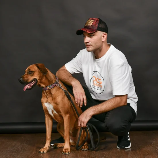 Βασική εκπαίδευση | Φάνης Ζαδές - Εκπαιδευτής σκύλων