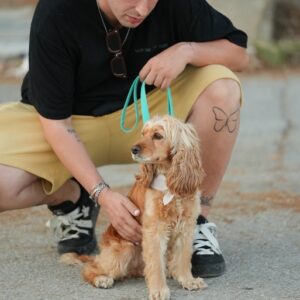 Εκπαίδευση σκύλων Βόλος