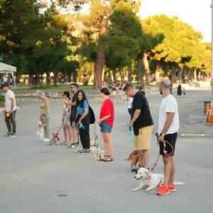 Εκπαίδευση σκύλων Βόλος