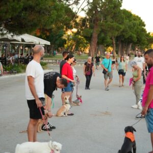 Εκπαίδευση σκύλων Βόλος
