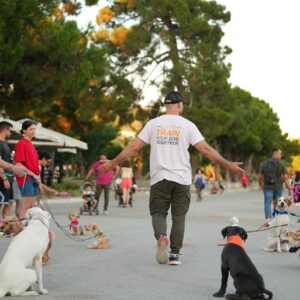 Εκπαίδευση σκύλων Βόλος