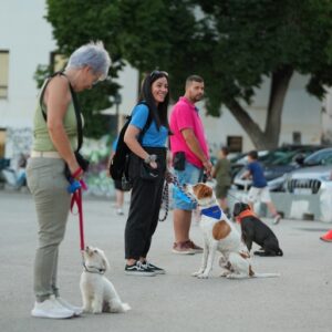 Εκπαίδευση σκύλων Βόλος