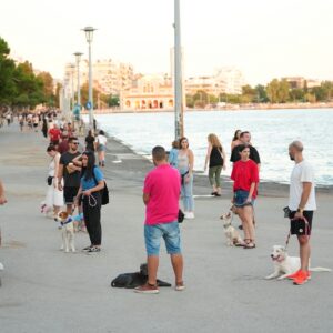 Εκπαίδευση σκύλων Βόλος