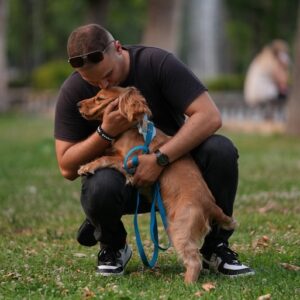 Εκπαίδευση σκύλων Λάρισα