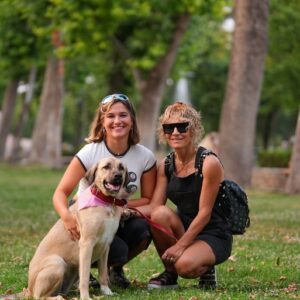 Εκπαίδευση σκύλων Λάρισα